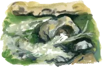 築柵（てし）